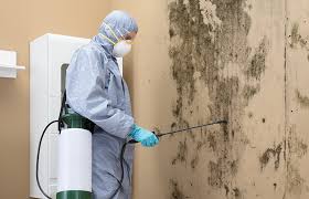 Best Residential Mold Inspection & Testing  in Victory Lakes, NJ